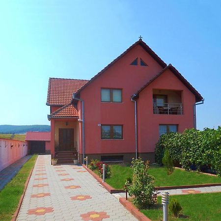 Vila La Izvor Petresti Ngoại thất bức ảnh