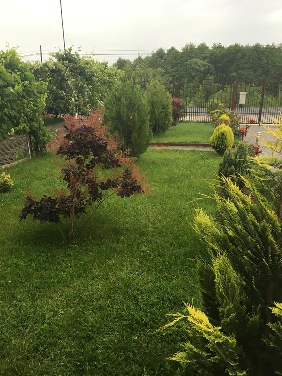 Vila La Izvor Petresti Ngoại thất bức ảnh