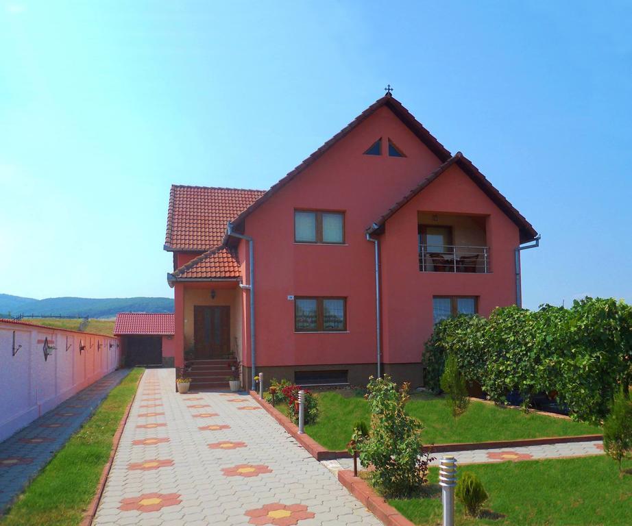 Vila La Izvor Petresti Ngoại thất bức ảnh
