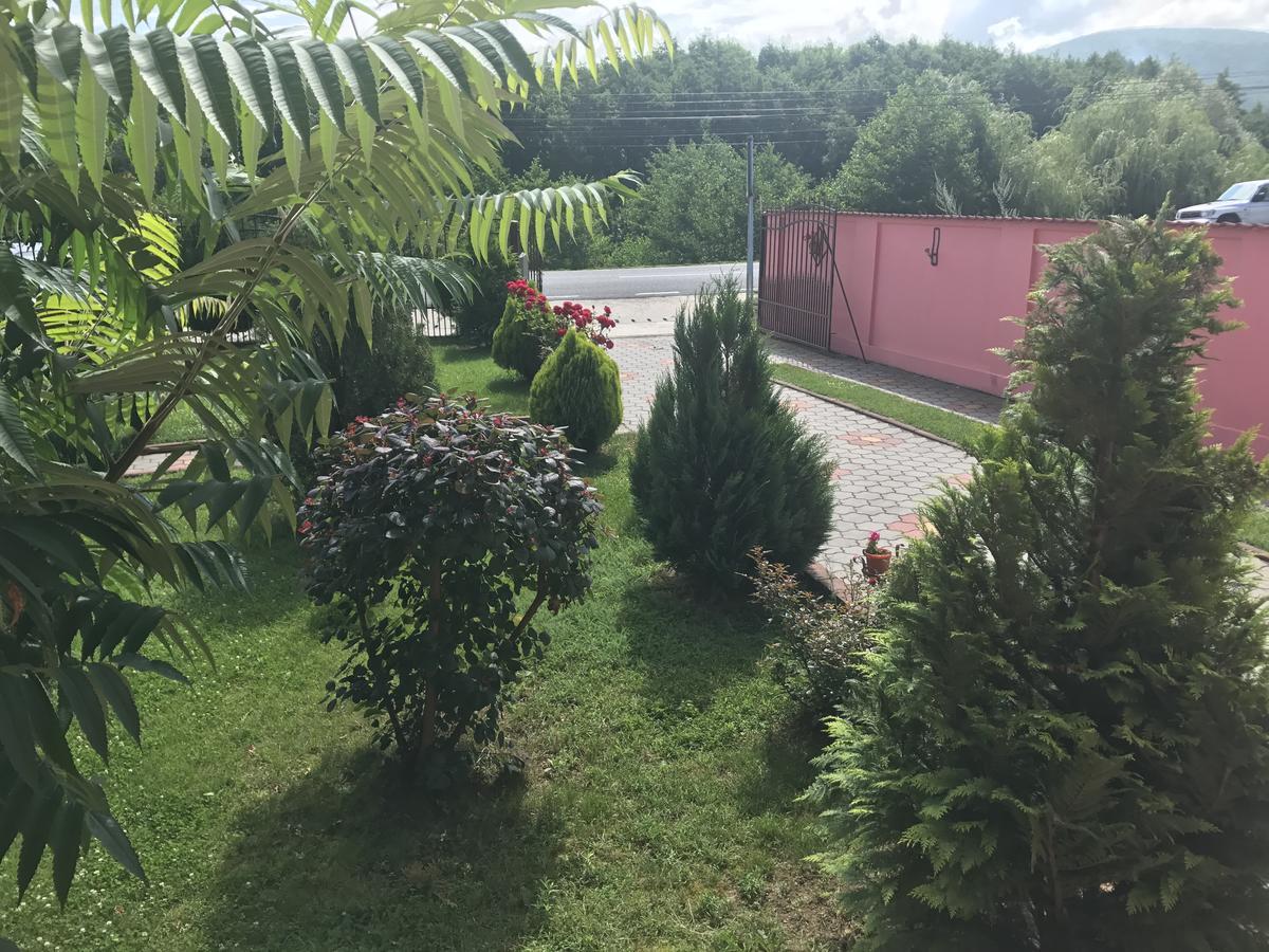 Vila La Izvor Petresti Ngoại thất bức ảnh