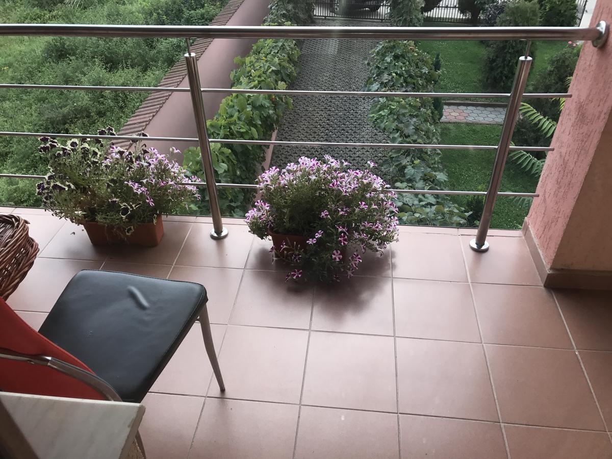 Vila La Izvor Petresti Ngoại thất bức ảnh